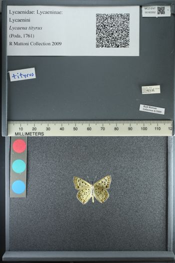 Media type: image;   Entomology 183352